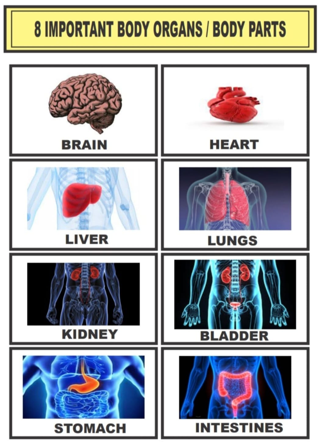 Gynecology Medicine
